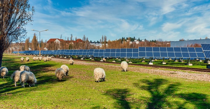 Reducing Operating Costs For Farmers With Renewable Energy